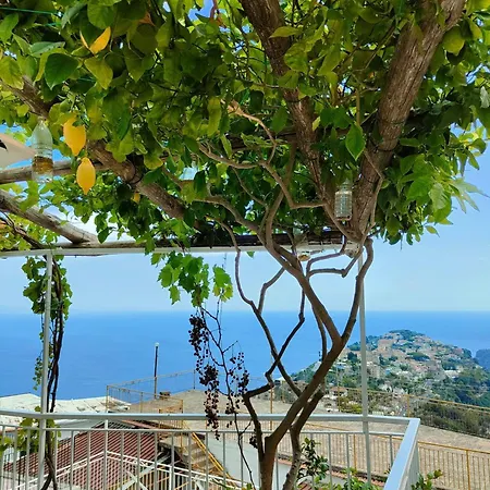 Casa Panorama דירה
